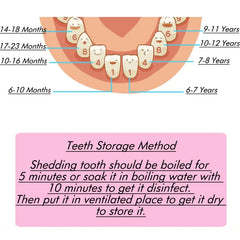 Wooden Baby Tooth Storage Box for Kids